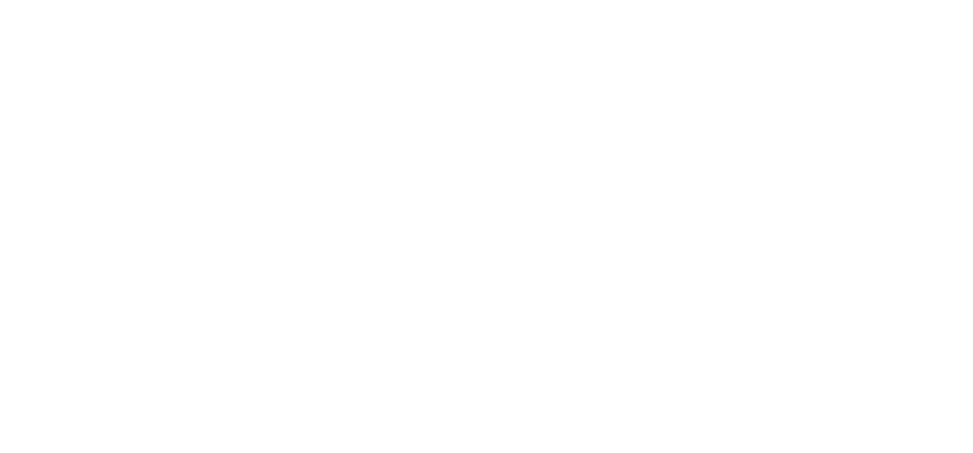 Fitness Artist